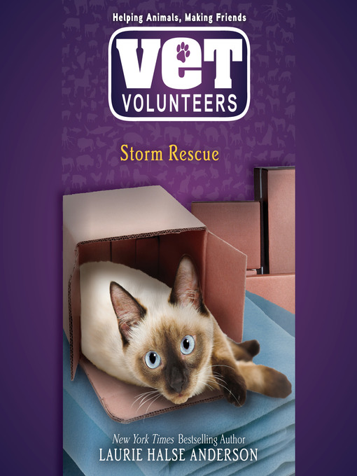 Title details for Storm Rescue by Laurie Halse Anderson - Available